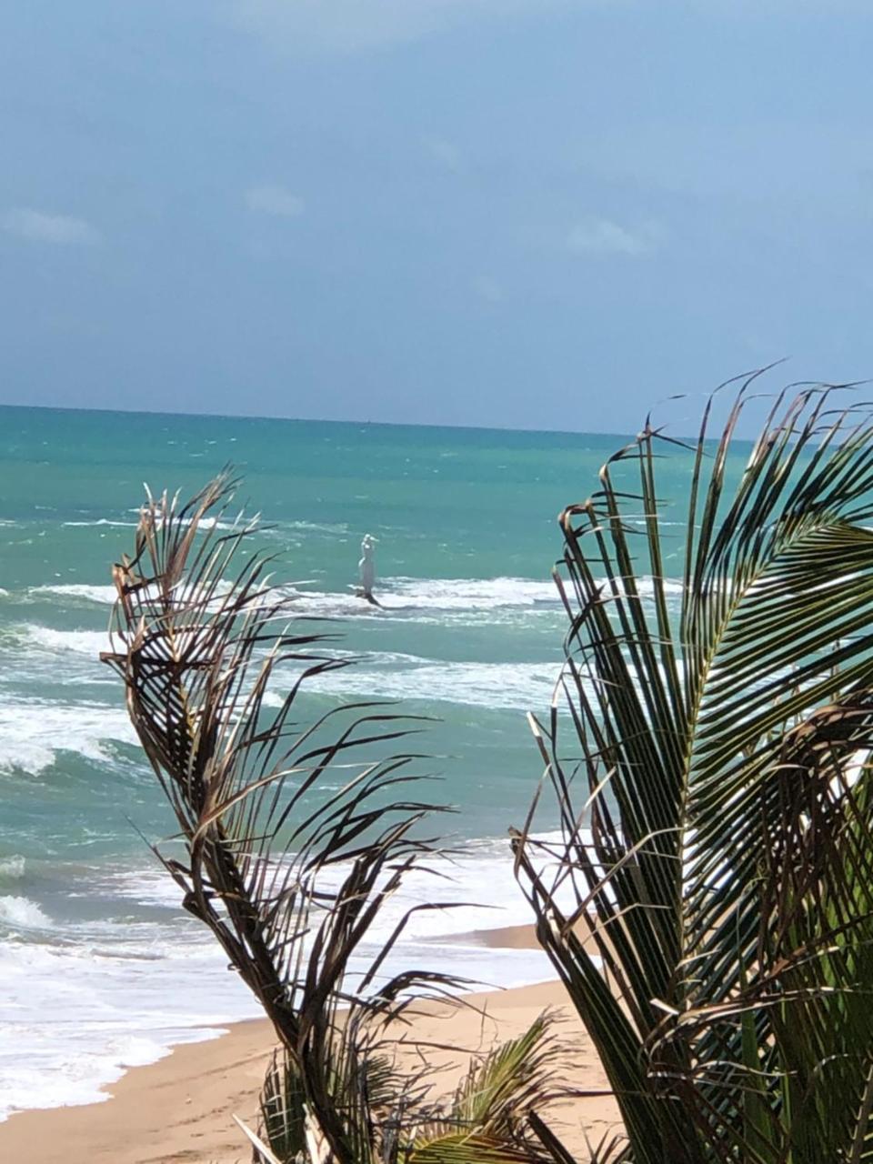 Appartamento Temporada Em Maceio Esterno foto